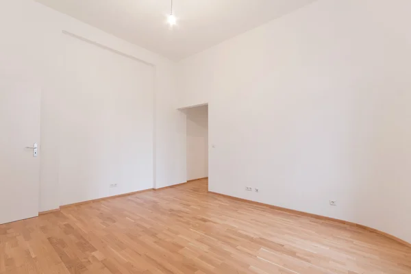 Living room / empty flat , fresh renovated