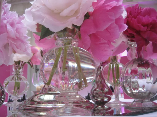 Pink flowers in glass vase