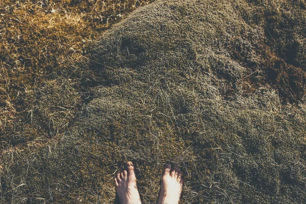 Closeup of man walking barefoot on moss in Iceland