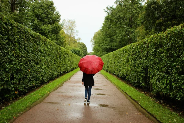 Young girl walks along the green alleys from the bushes in the rain with  red umbrella