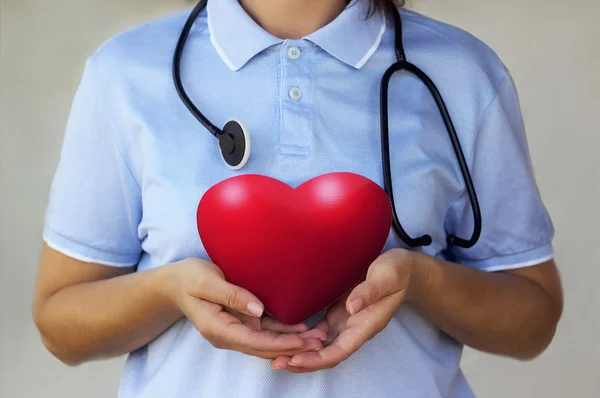 Doctor with stethoscope holding a red heart in the hands closeup