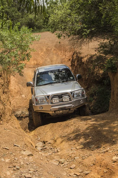Four-wheel drive vehicle Toyota Hilux  is doing off-road trail.