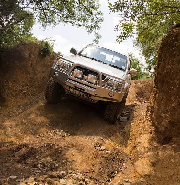 Four-wheel drive vehicle Toyota Hilux  is doing off-road trail.