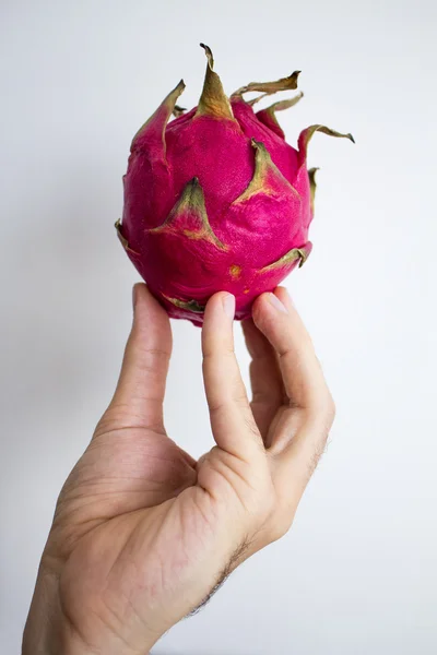 Man`s hand holding exotic dragon fruit  isolated on grey textured background.