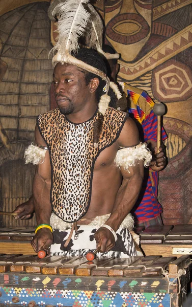 South Africa, Gauteng, Lesedi  - 04 July, 2015. Unidentified African Bantu nation man Zulu  with ethnic accessories and clothes playing the traditional instrument xylophone in Lesedi Cultural Village (unique center of African culture). Ethnic music