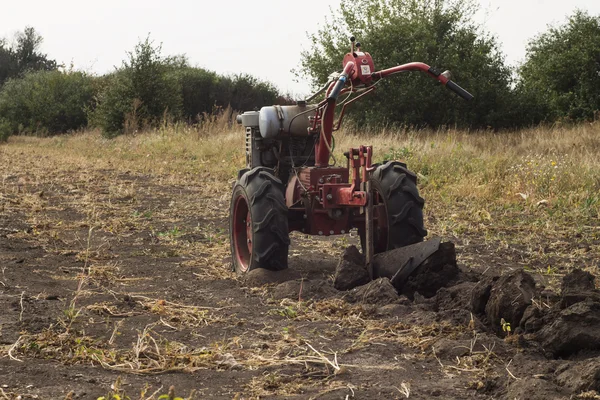 DIKANKA, UKRAINE - SEPTEMBER 30, 2015: Plowing garden tractor motor-block Motor Sich MB-4,05 to plow