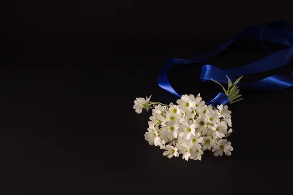 Bouquet of small white flowers with a blue ribbon on a black bac