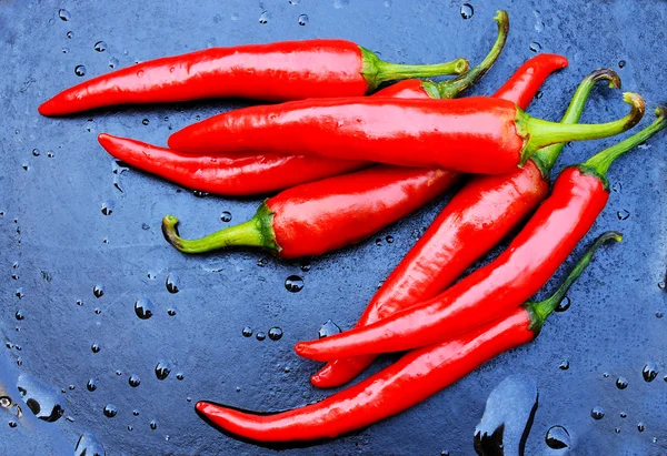 Hot pepper on a background with drops of water
