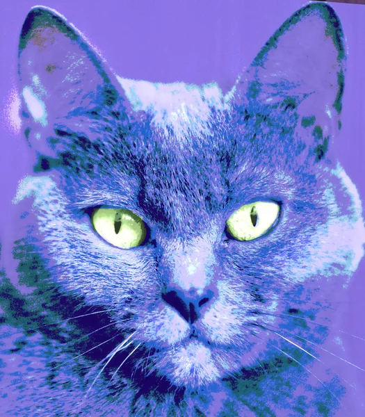 Portrait of cat. Animalistic print. Pop art style