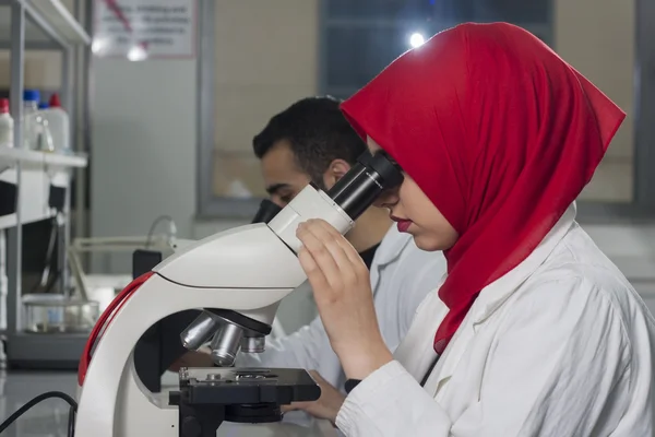 Group of young medical workers are working in lab as lab technician