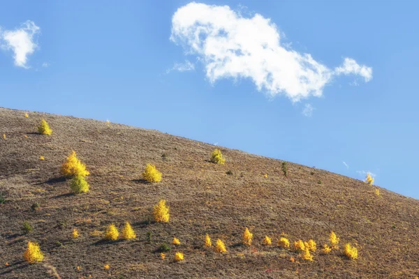 China Sichuan xindu bridge, Inagi Aden, scenic autumn beauty