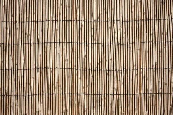 Texture bamboo bright, eastern texture, texture of Japanese and Chinese