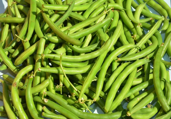 Green beans casserole, also known as string beans, or snap beans background. Vegan Food.