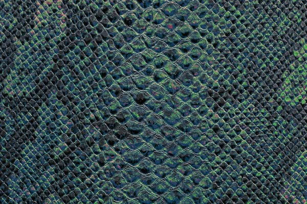pin foto la texture della pelle on texture della pelle nera di coccodrillo foto stock 169 marchello74 40262513 pin foto la texture della pelle on texture della pelle nera di coccodrillo foto stock 169 marchello74 40262513