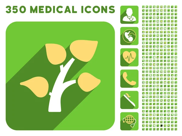 Garden Plant Icon and Medical Longshadow Icon Set