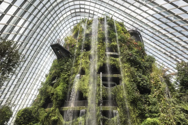 Mountain imitation at Cloud Forest Dome, Garden by the Bay, Singapore