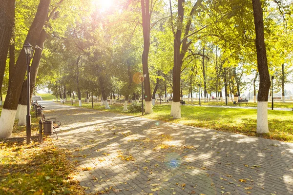 Sunny day in the city park. Simple landscape. Autumn park trees  and cobbled road