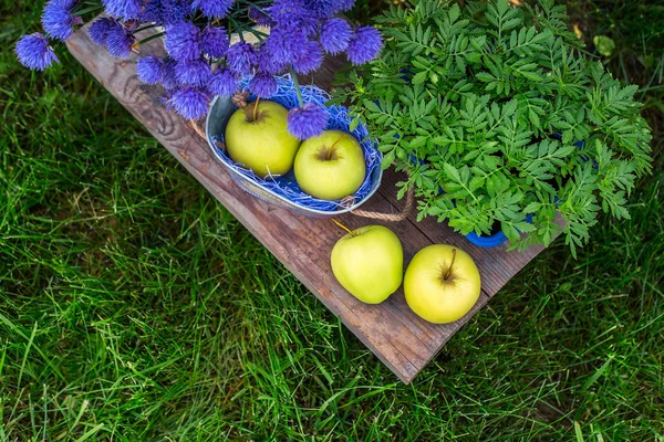 Apples in a basket and some garden decorations on green grass background and foliage. Garden pail with purple flowers with greens and herbs background.