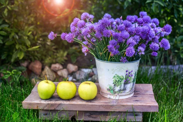 Apples in a basket and some garden decorations on green grass background and foliage. Garden pail with purple flowers with greens and herbs background.