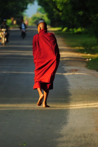 Monk walking along the road