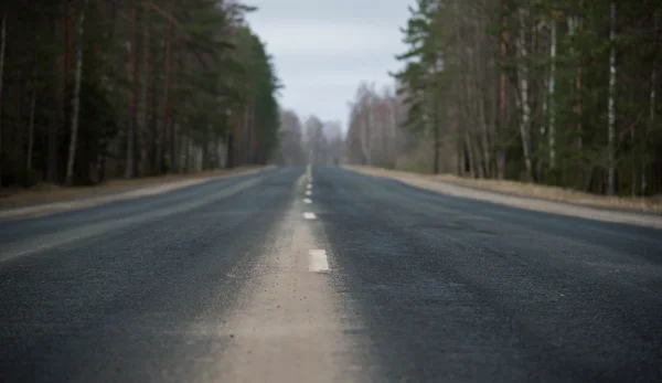 Road fleeing into the distance in  spring forest