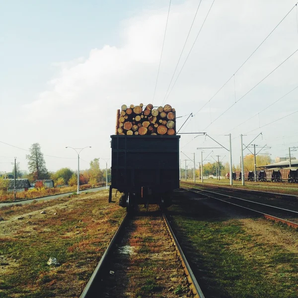 Wagon with woods on railroad