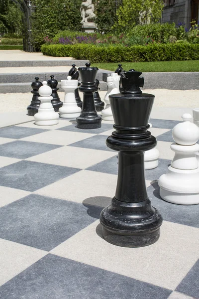 Street chessboard with chessmen and green plants as background