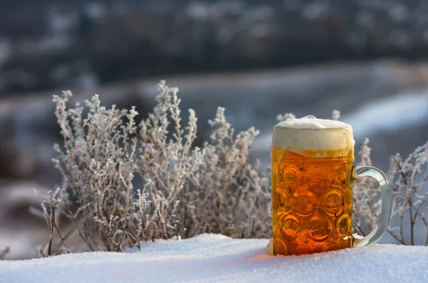 Beer in the snow