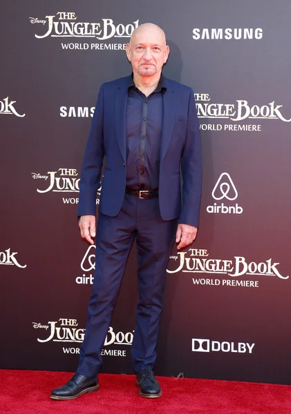 Actor Ben Kingsley