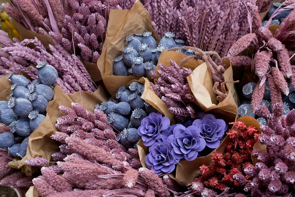 Colorful bouquets of dried flowers