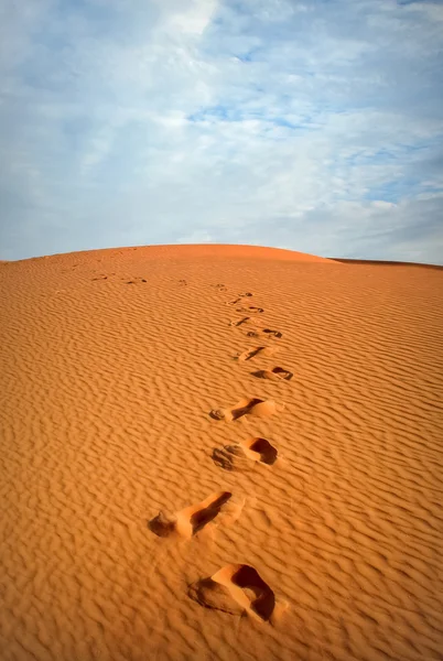 Footprints in the sand in the Sahara desert . Morocco.
