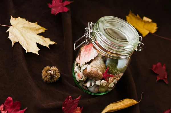 Concept of changing seasons summer in jar in autumn setting