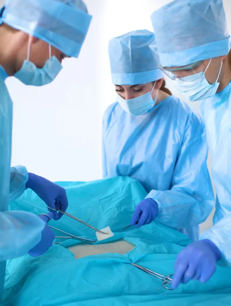 Team of surgeon in uniform perform operation on a patient at cardiac surgery clinic