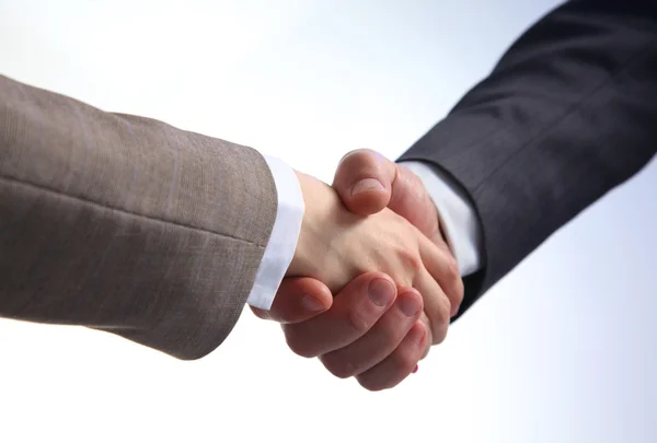 Business handshake. Two businessman shaking hands with each other in the office