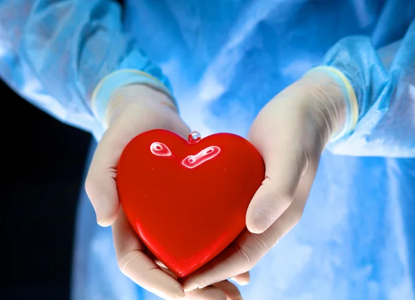 Man surgeon holds a heart in an operating room