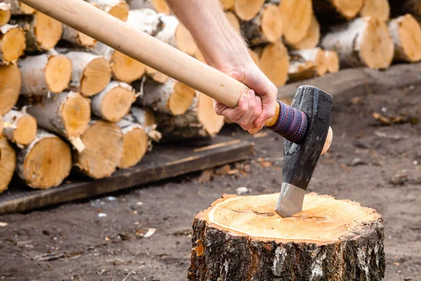 Massive axe with mens hand stuck in a birch stub