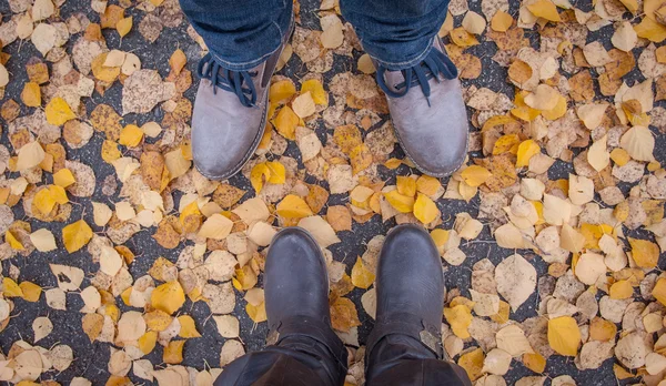 Image of legs in boots on the autumn leaves. Feet shoes walking in nature