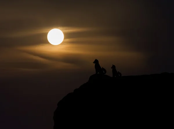 Two dogs silhouette on cliff with blurred moon view from highland, dog and moon, dog in dark