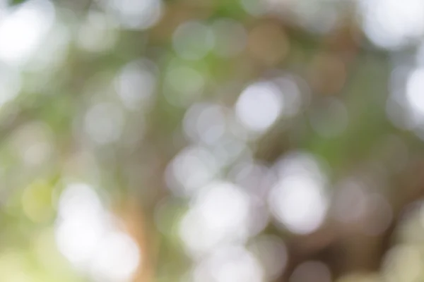 Dreamy soft white and green spread and glow bokeh abstract backg