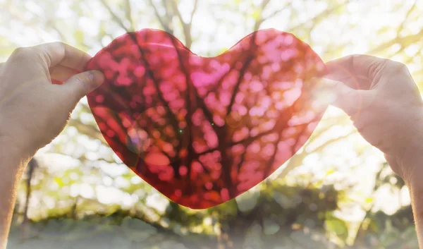 Hands hold or raise big red heart to sky with lens flare and sun