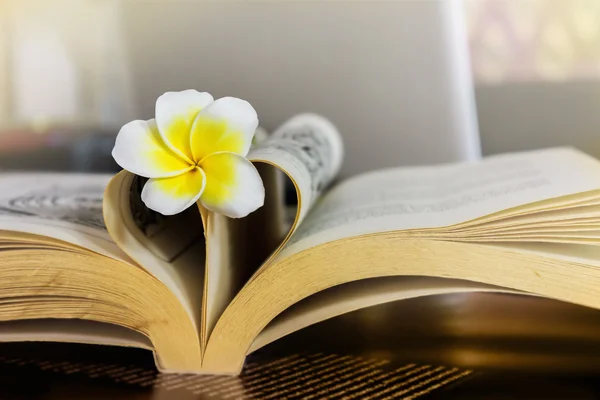 Sweet romantic flower plumeria or frangipani on book and heart shape