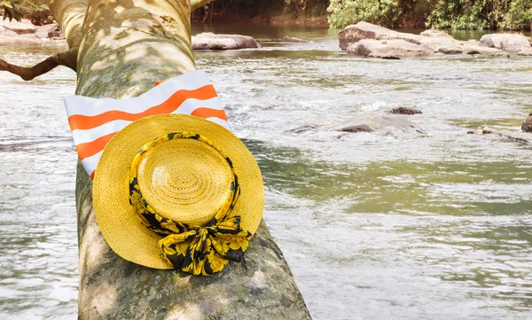 Women yellow hat and bag on tree in summer relax waterfall