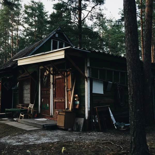 Wooden house in forest