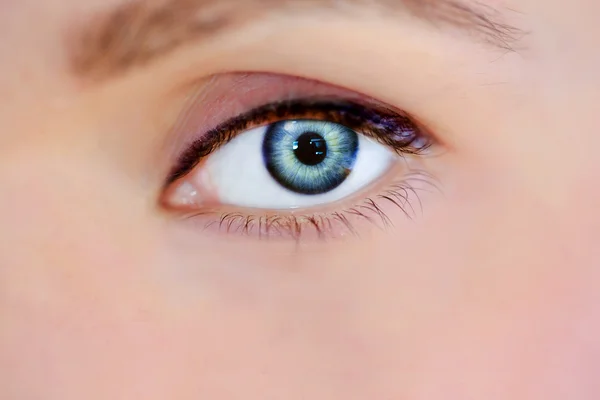 Macro image of human eye. woman dark blue eye with false extremely long lashes. insightful look cartoon eye. extreme macro shot of a beautiful blue eye.