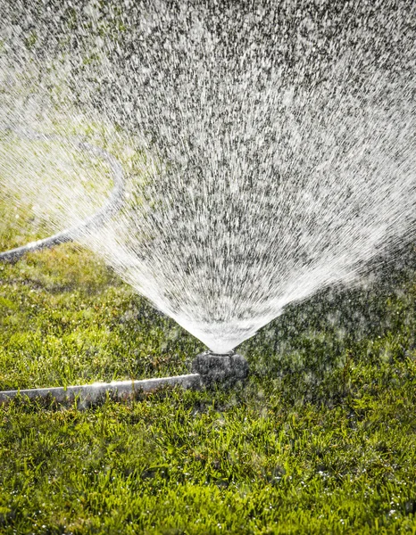 Irrigation of lawns