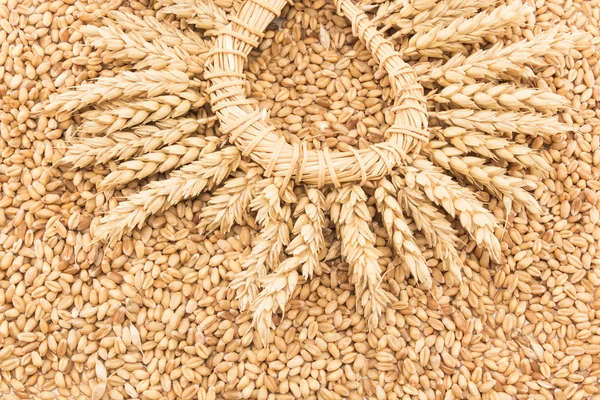 Wheat grains and a wreath of wheat ears