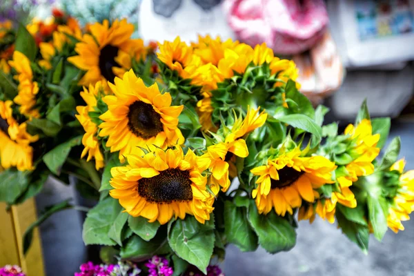 Sunflowers in flower stall, London Borough Market