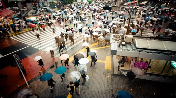 People with umbrellas in rainy day, Shibuya
