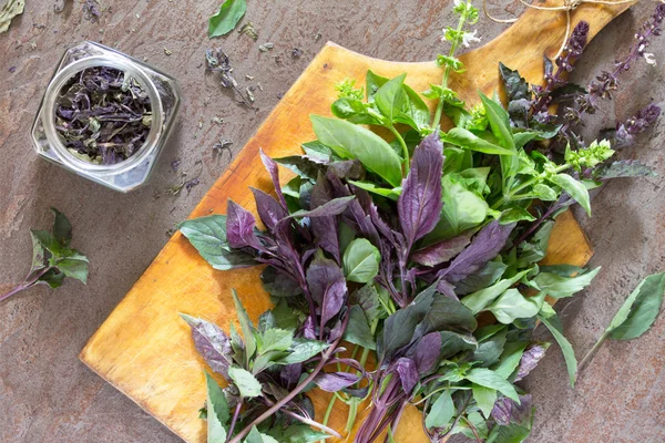 Green and purple fresh basil and dried basil in a pot on a stone