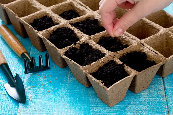 Gardening and landscaping - preparation for planting seeds, gard